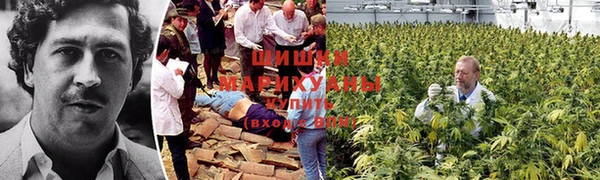 MDMA Premium VHQ Бронницы